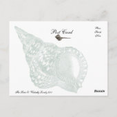 Die Sirene Postkarte (Rückseite)