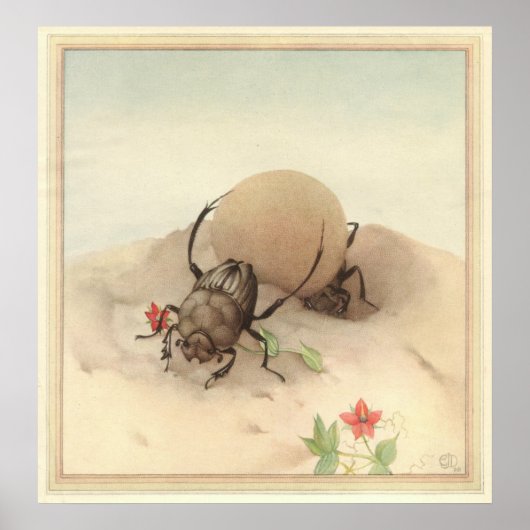 DIE SISYPHUS - Illustration des Insektenbuchs Poster (Vorne)