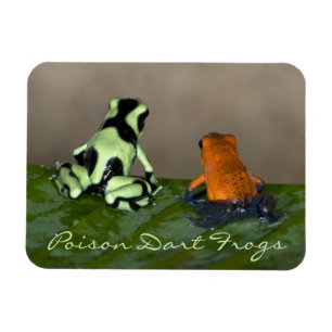 Die Situation Magnet