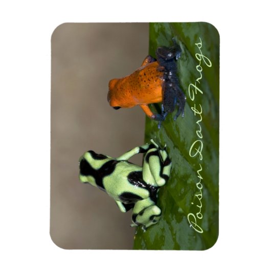 Die Situation Magnet (Vertikal)