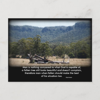 Die Sleepy Log, Der Mensch ist nichts im Vergleich Postkarte