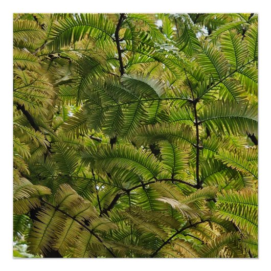 Die Soft erobert die Härte Poster (Vorderseite)