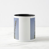 Die Sojus-Rakete wird in Position 4 errichtet Tasse (Zentrum)