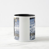 Die Sojus TMA-19 Raumsonde Tasse (Zentrum)