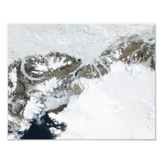 Die Sommerteufel Fotodruck (Vorne)