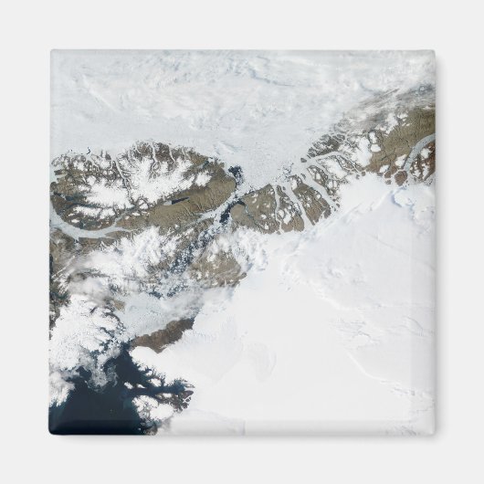 Die Sommerteufel Magnet (Vorne)