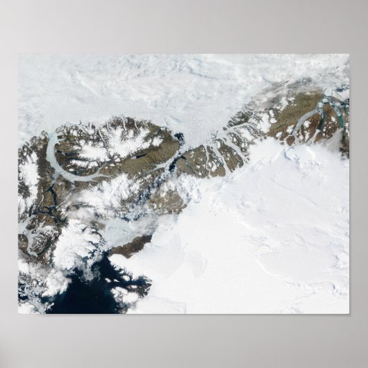 Die Sommerteufel Poster (Vorne)