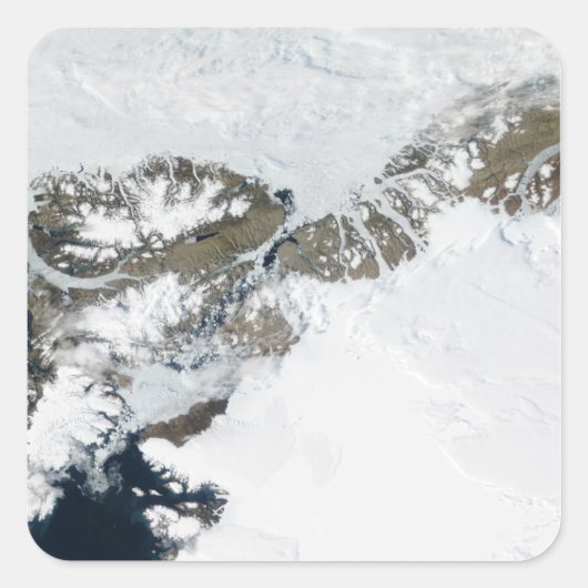 Die Sommerteufel Quadratischer Aufkleber (Vorderseite)