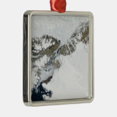 Die Sommerteufel Silbernes Ornament (Rechts)