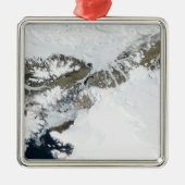 Die Sommerteufel Silbernes Ornament (Vorne)