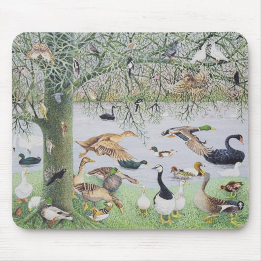 Die sonderbare Ente Mousepad (Vorne)
