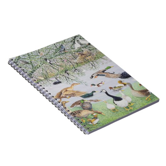 Die sonderbare Ente Notizblock (Rechte Seite)