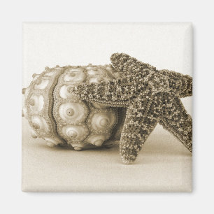 Die sonderbaren Paare Magnet