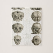 Die sonderbaren puzzle (Vertikal)