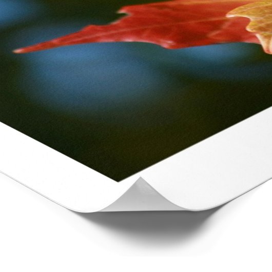 Die Sonne aufsaugen Poster (Ecke)