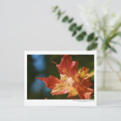 Die Sonne aufsaugen Postkarte (Stehend Vorderseite)