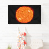 Die Sonne Banner (Insitu)