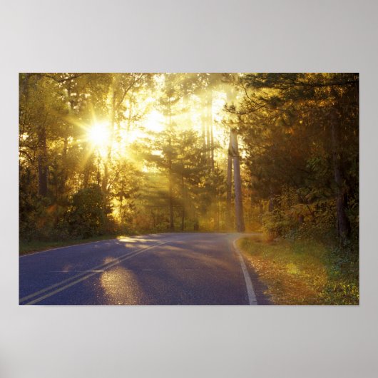 Die Sonne bricht durch den Wald auf eine Straße Poster (Vorne)