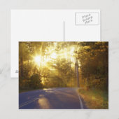 Die Sonne bricht durch den Wald auf eine Straße Postkarte (Vorne/Hinten)