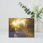 Die Sonne bricht durch den Wald auf eine Straße Postkarte (Stehend Vorderseite)