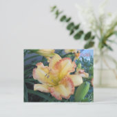 Die Sonne II zu verfolgen, die Sonne II zu verfolg Postkarte (Stehend Vorderseite)