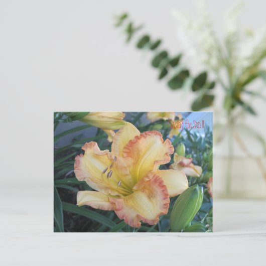 Die Sonne II zu verfolgen, die Sonne II zu verfolg Postkarte (Stehend Vorderseite)