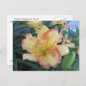 Die Sonne II zu verfolgen, die Sonne II zu verfolg Postkarte (Vorne/Hinten)