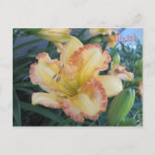 Die Sonne II zu verfolgen, die Sonne II zu verfolg Postkarte (Vorderseite)