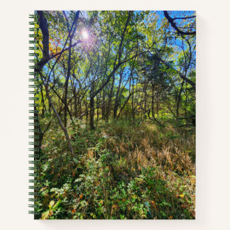 Die Sonne im Uni-Ruled-Notebook der Bäume Notizblock