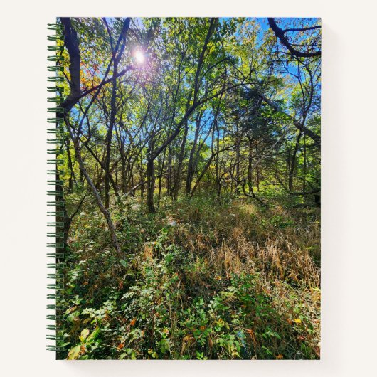 Die Sonne im Uni-Ruled-Notebook der Bäume Notizblock (Vorderseite)