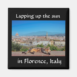 Die Sonne in Florenz oben einhüllen, Magnet