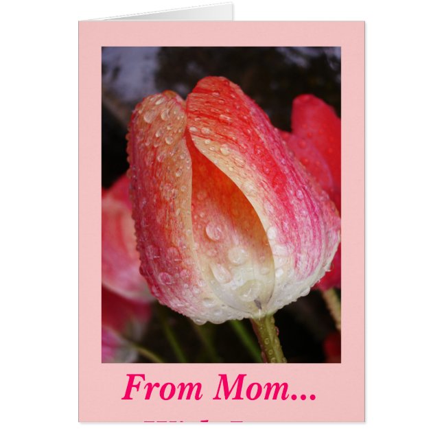 Die Sonne kommt aus der Mama... Mit Liebe (Vorne)