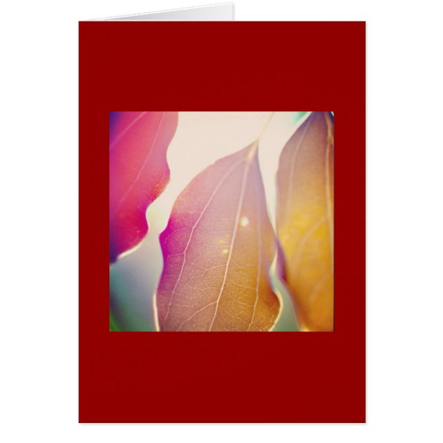 Die Sonne leuchtet durch die Blätter (Vorne)