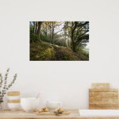 Die Sonne rächt durch die Bäume Poster (Küche)