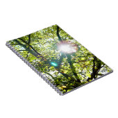 Die Sonne scheint durch das Sycamore-Baum-Notebook Notizblock (Rechte Seite)