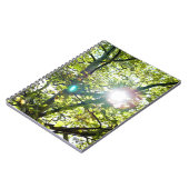Die Sonne scheint durch das Sycamore-Baum-Notebook Notizblock (Linke Seite)