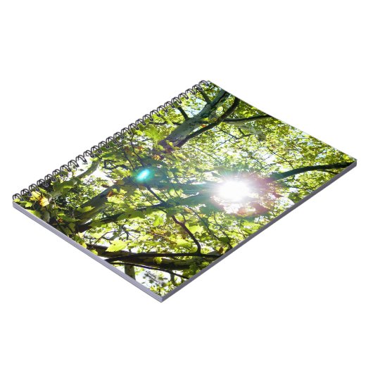 Die Sonne scheint durch das Sycamore-Baum-Notebook Notizblock (Linke Seite)