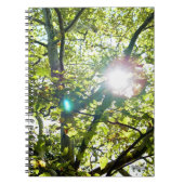 Die Sonne scheint durch das Sycamore-Baum-Notebook Notizblock (Vorderseite)