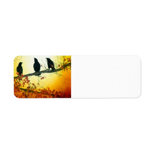 Die Sonne steigt (Vorne)