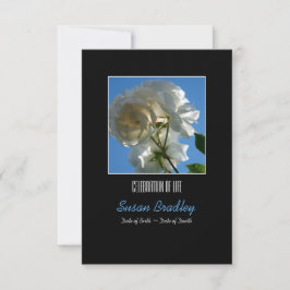 Die Sonne und die Weißen Rosen - die Begegnung des Einladung