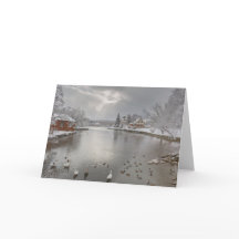 Die Sonnenbänke umarmen den Ententeich