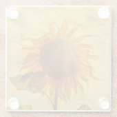 Die Sonnenblume Glasuntersetzer (Rückseite)