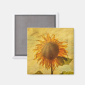 Die Sonnenblume Magnet (Vorderseite/Rückseite)
