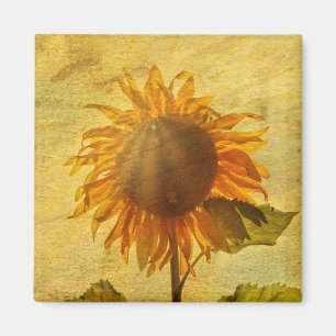 Die Sonnenblume Magnet