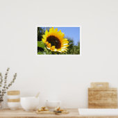 Die Sonnenblume Poster (Küche)