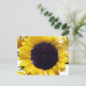 Die Sonnenblume Postkarte (Stehend Vorderseite)