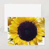 Die Sonnenblume Postkarte (Vorne/Hinten)