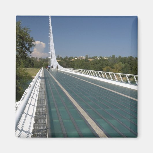 Die Sonnenbrücke in der Bucht von Turtle Magnet (Vorne)