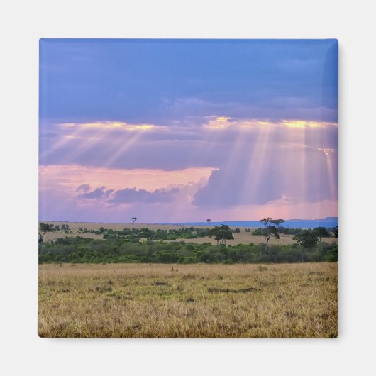 Die Sonnenstrahlen am Masai Mara. Magnet (Vorne)