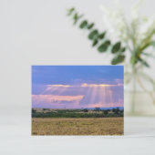 Die Sonnenstrahlen am Masai Mara. Postkarte (Stehend Vorderseite)
